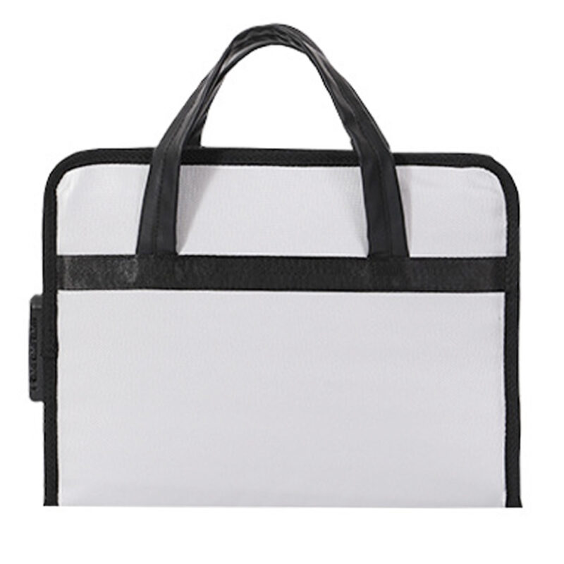 Hard Shell Fireproof Handbag Case - Fireproof Case - flitomecn.com